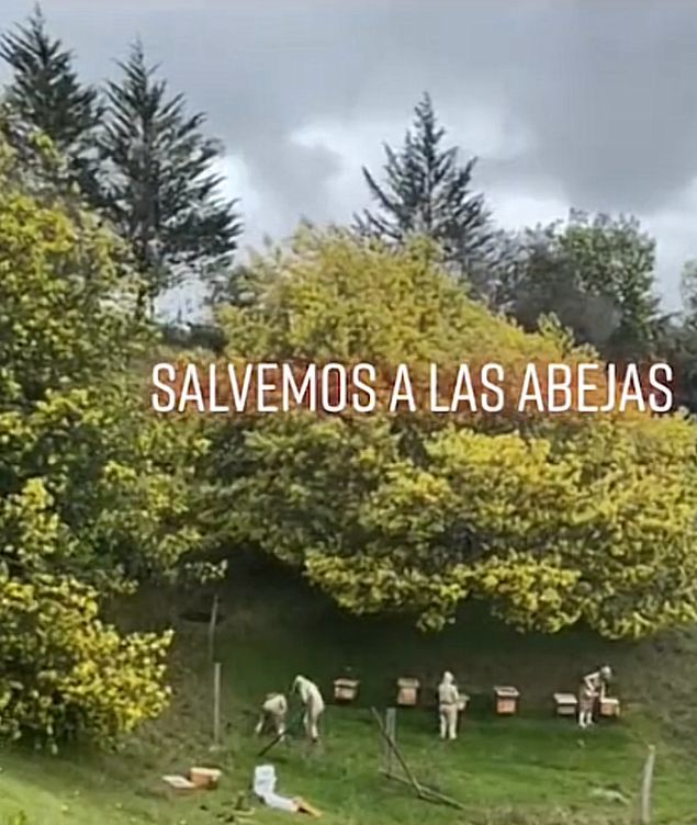 restauración ecológica, apiarios de alta montaña