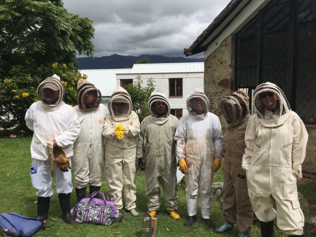 Restauración de ecosistemas, apicultura sostenible, educación ambiental
