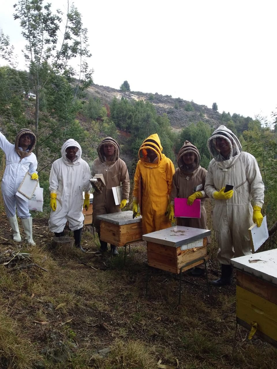 Producción sostenible, Apicultura de alta montaña